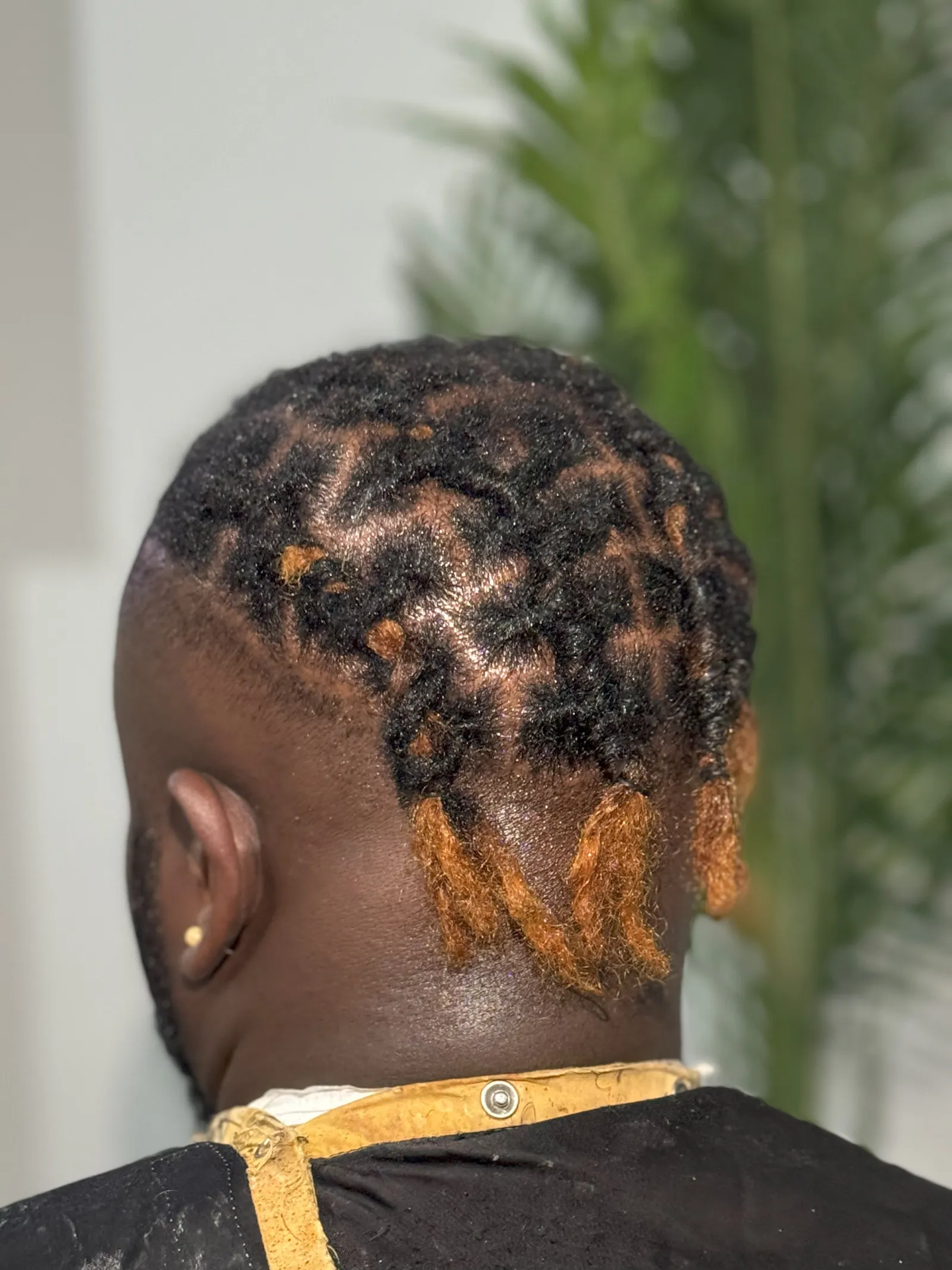 Starter locs, back view