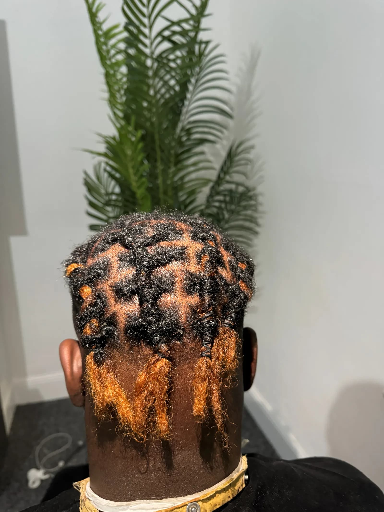 Starter locs with copper tips
